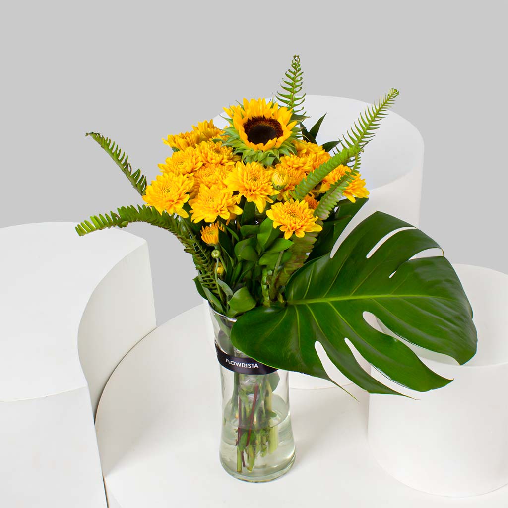 product-image-11451