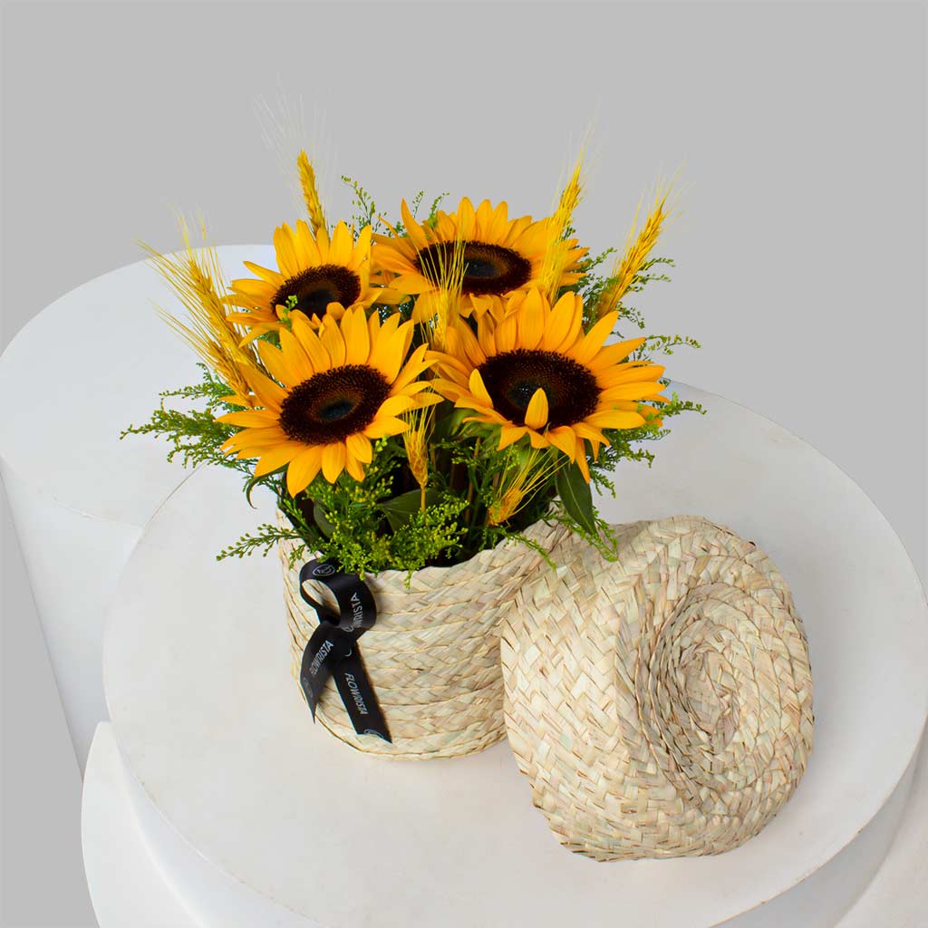 product-image-11591