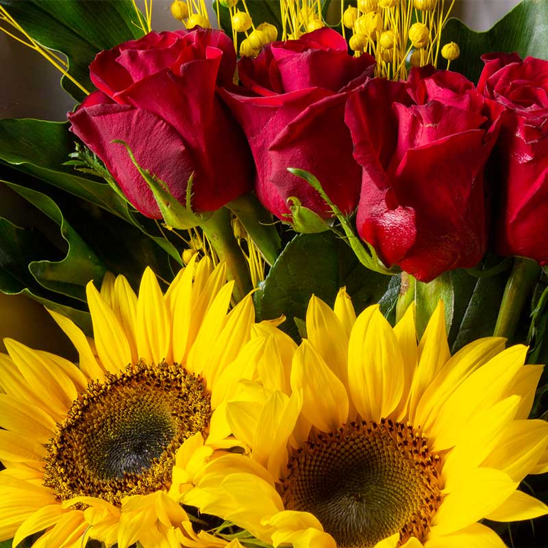 product-image-10805
