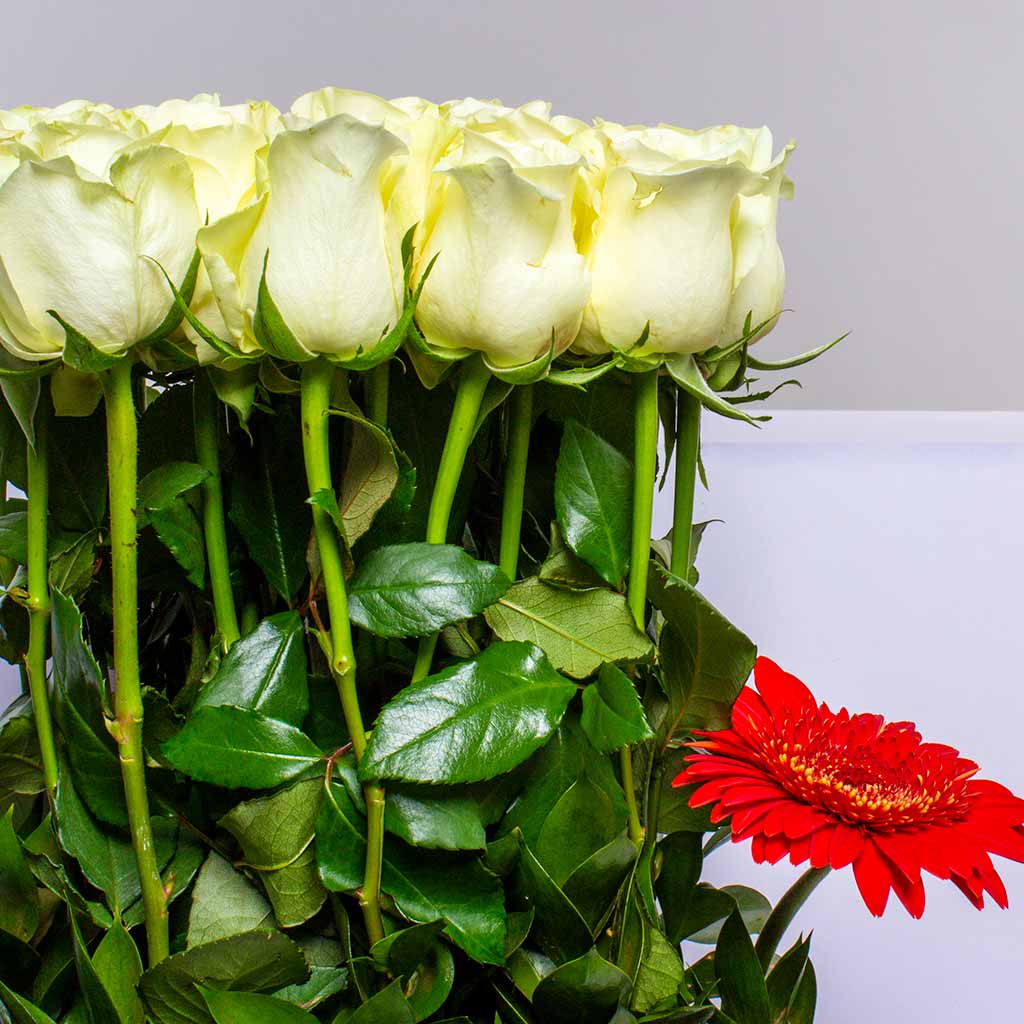 product-image-63