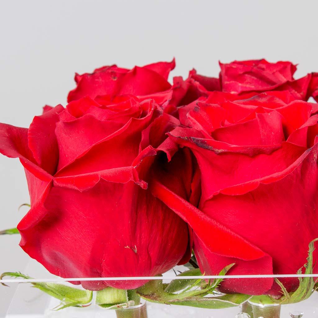 product-image-331