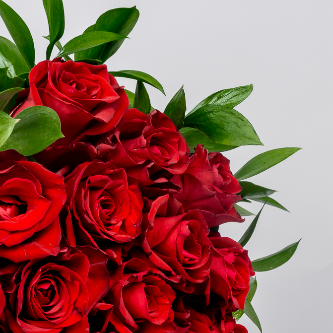 product-image-245