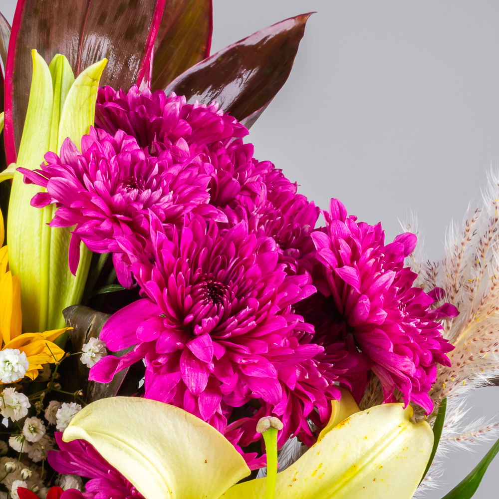 product-image-279