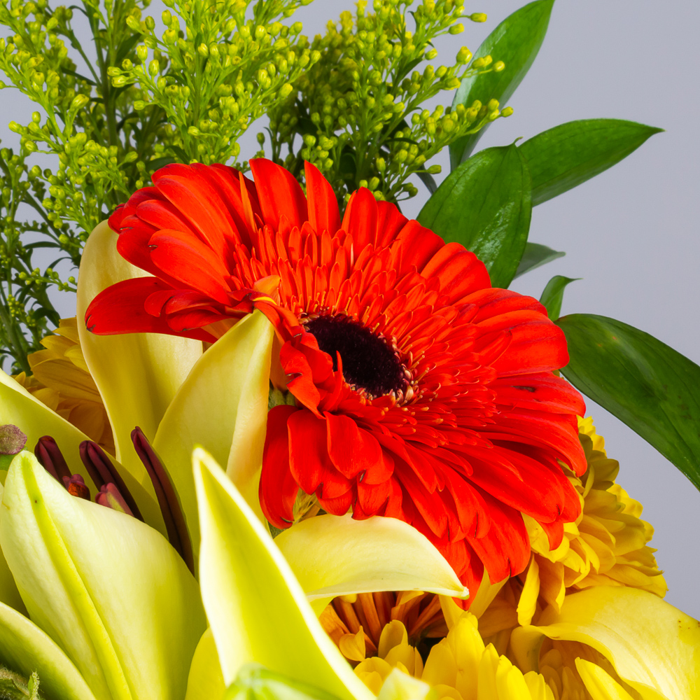 product-image-276