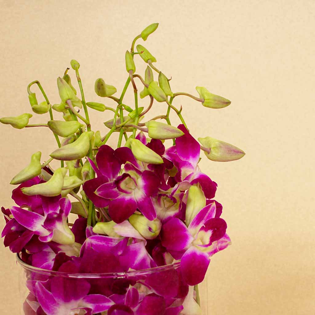 product-image-13527
