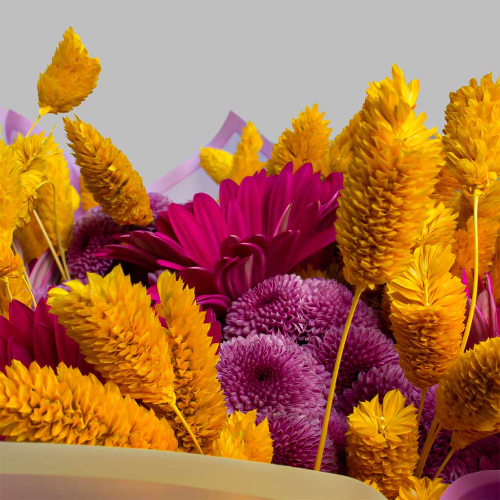 product-image-11617