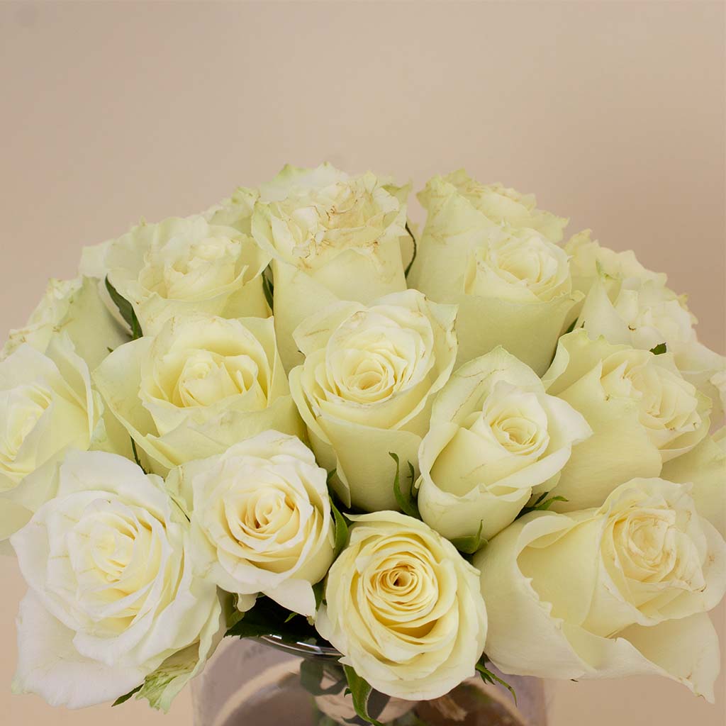 product-image-14248