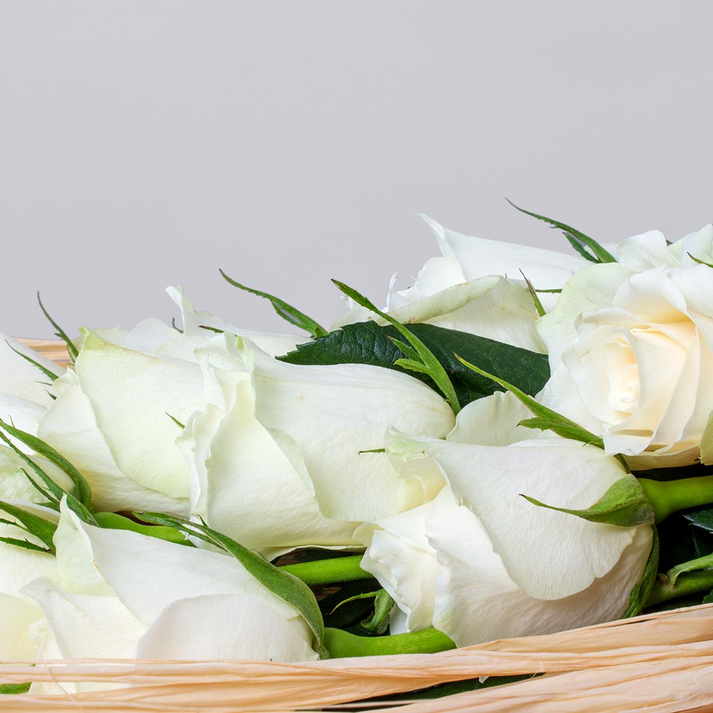 product-image-10764