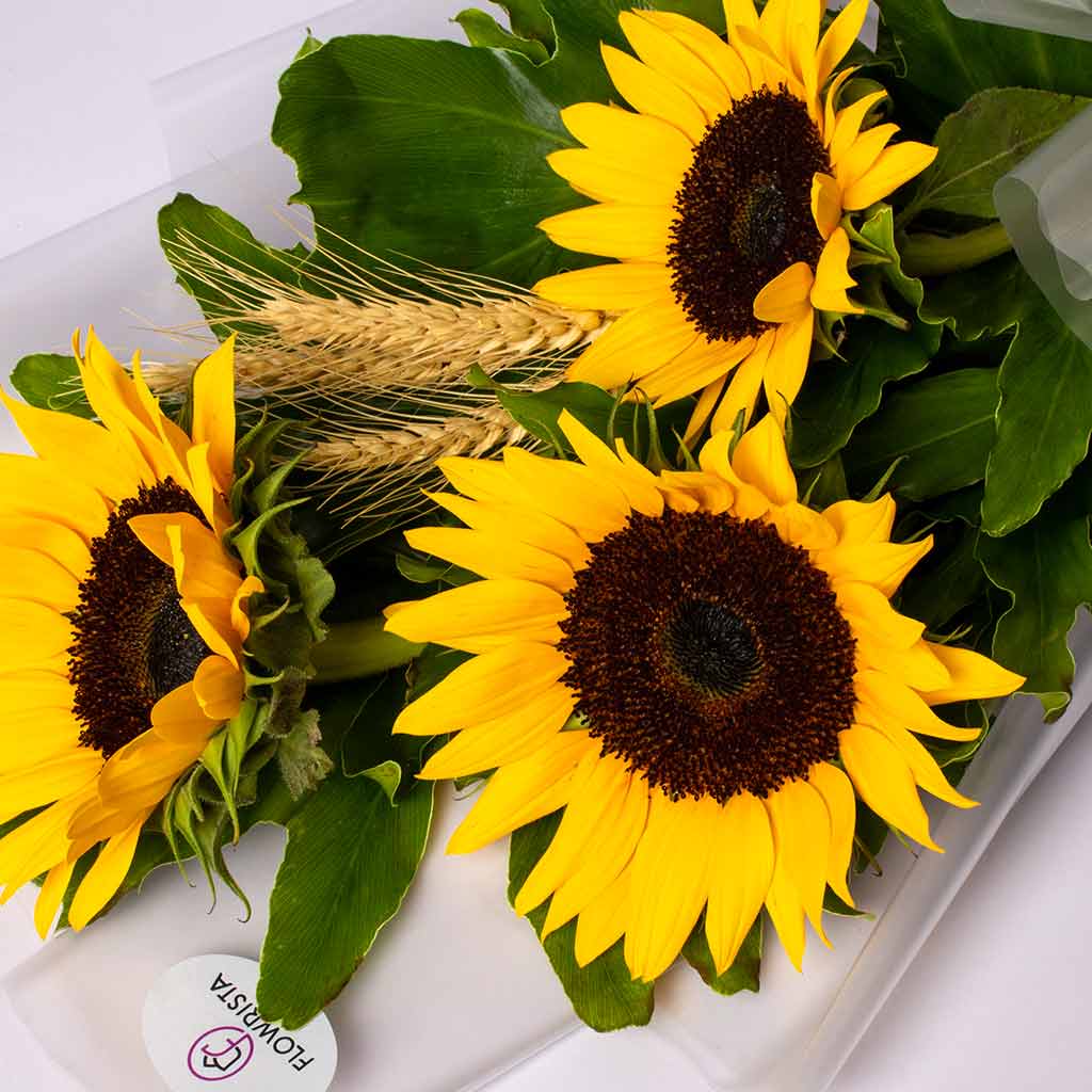product-image-500