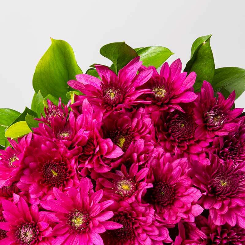 product-image-10797