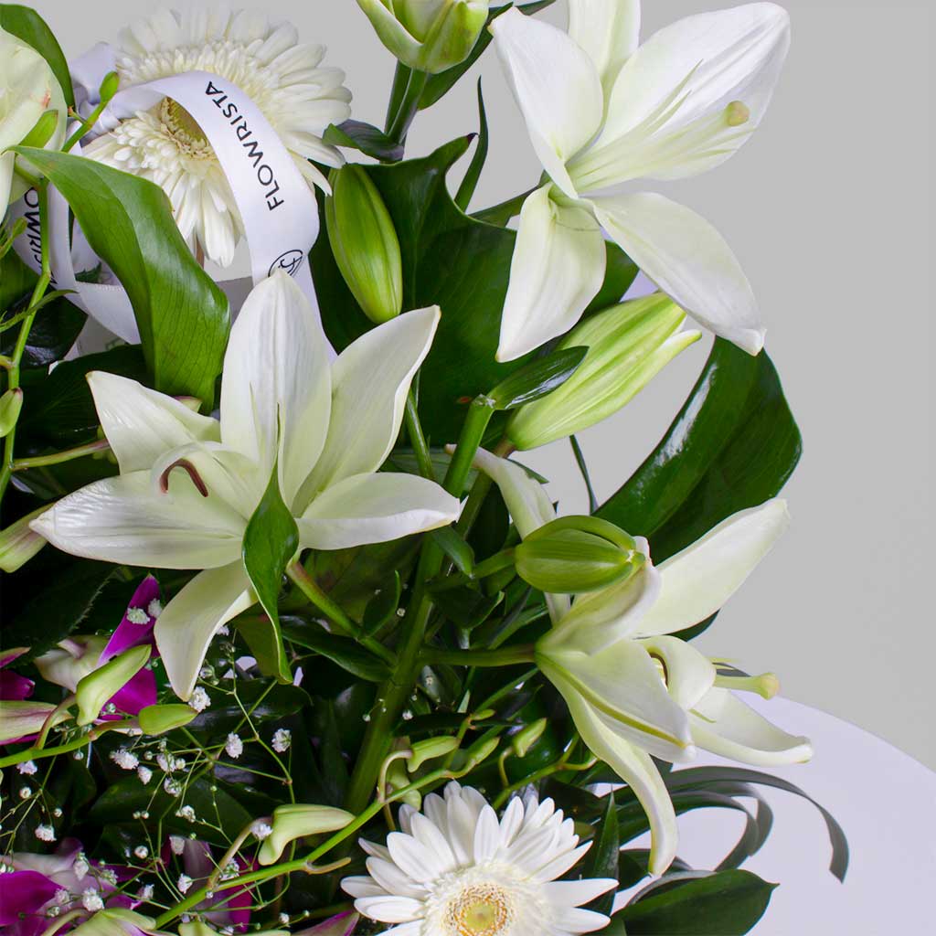 product-image-11637