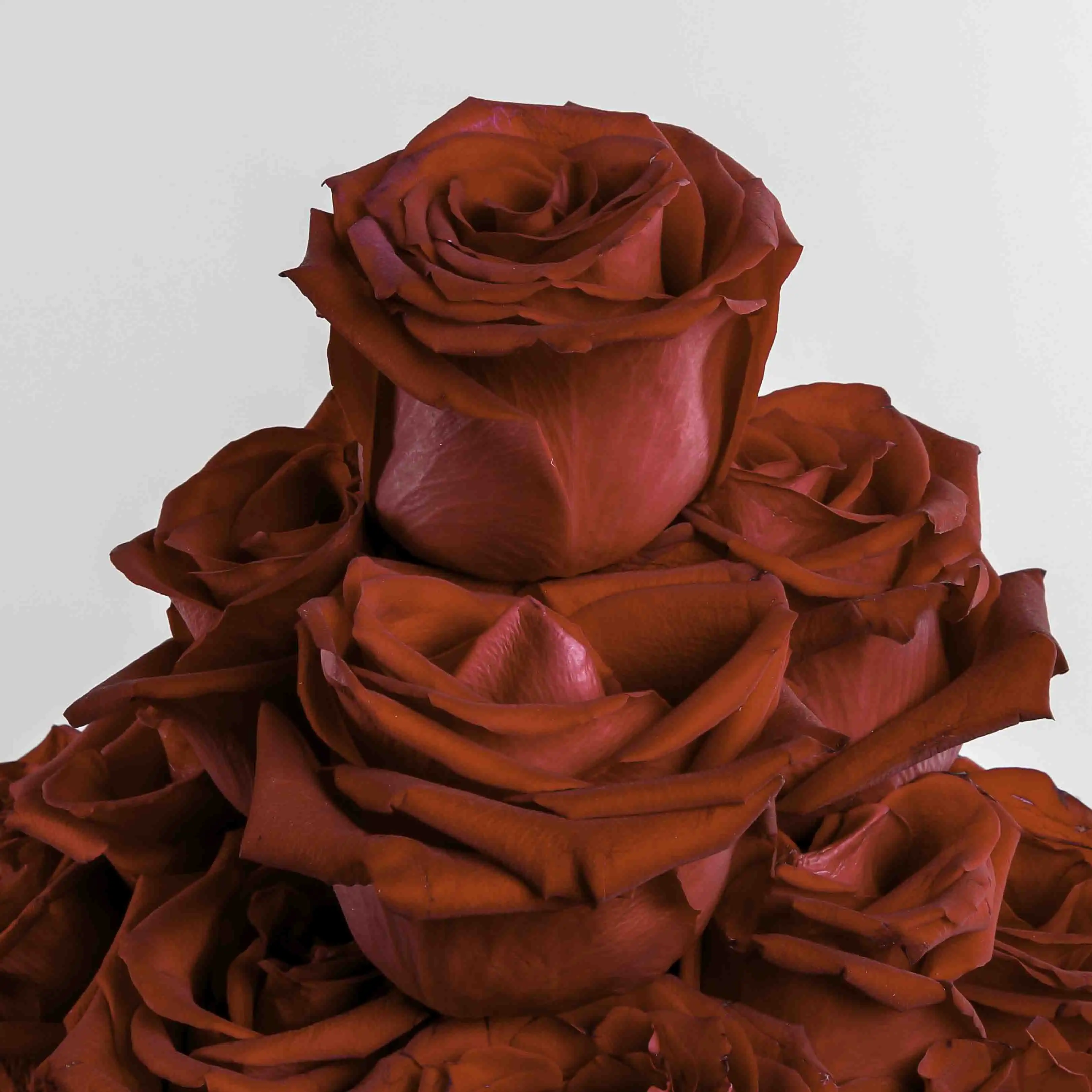 product-image-288