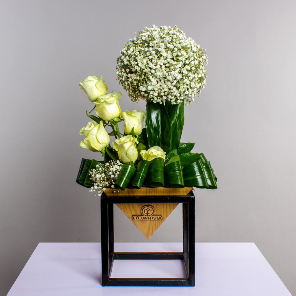 product-image-458