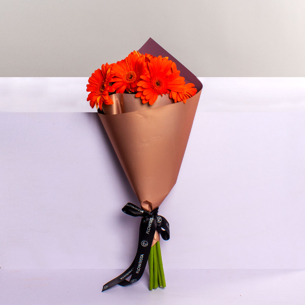 product-image-420