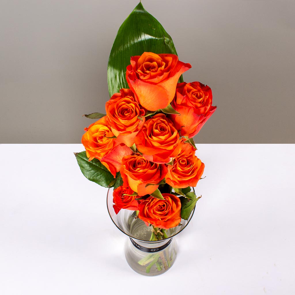 Pretty Orange