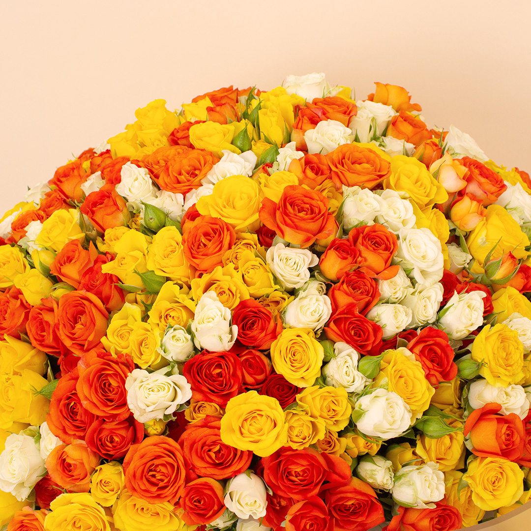 product-image-14127
