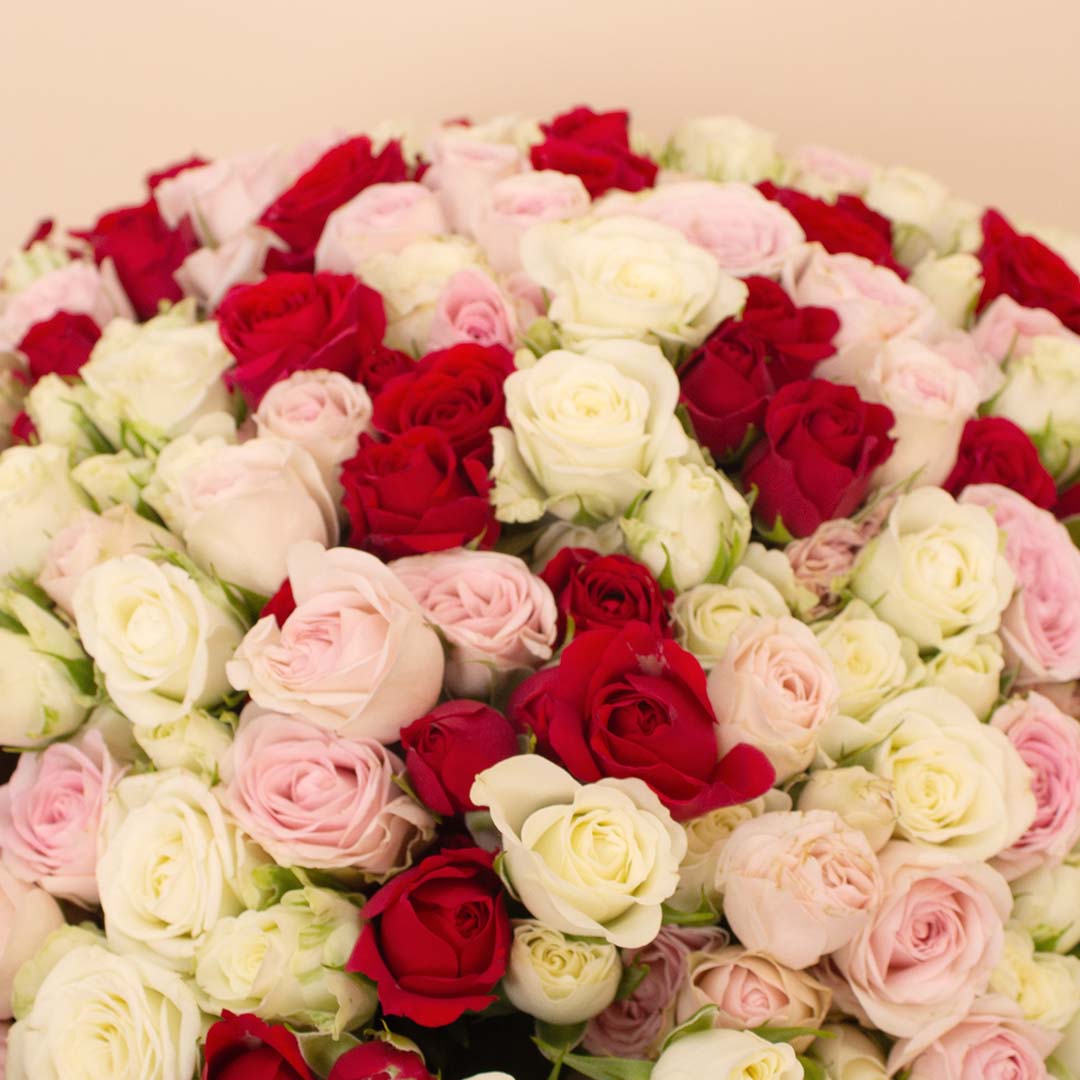 product-image-14130