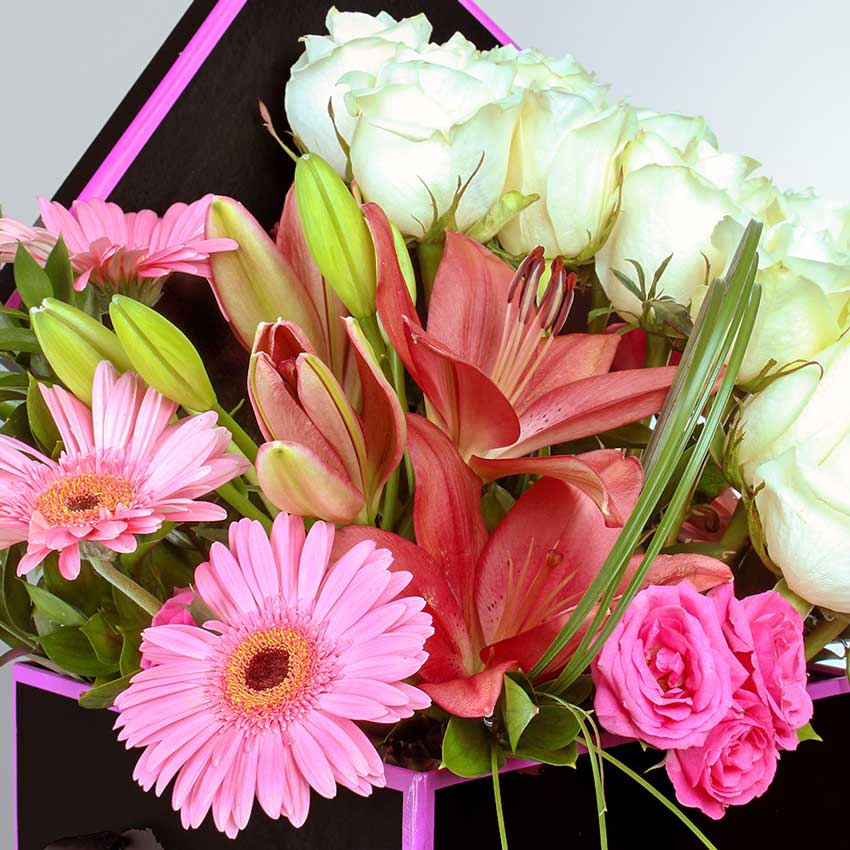 product-image-159