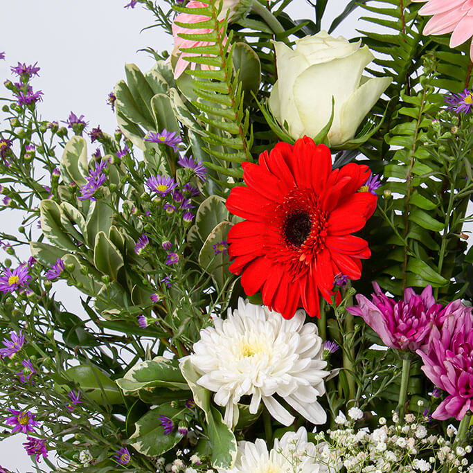 product-image-11376