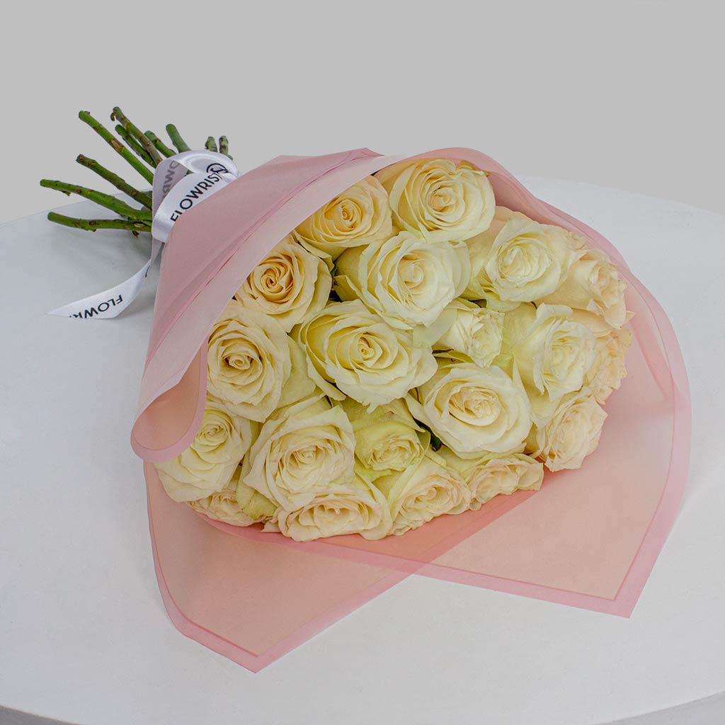product-image-11902