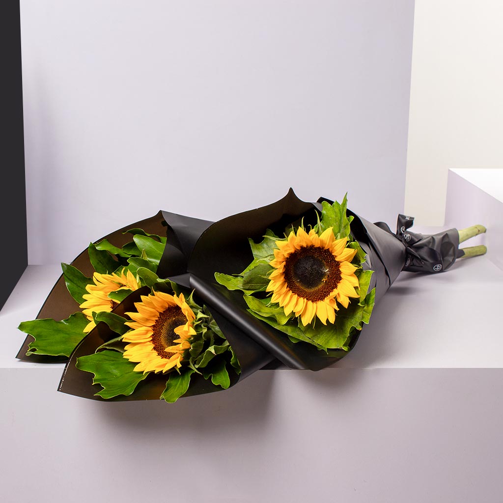 product-image-501