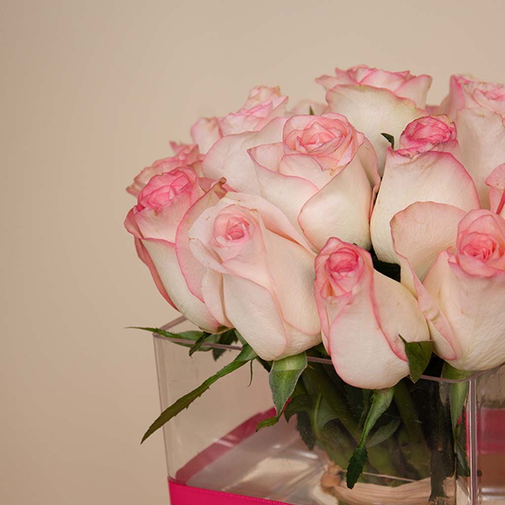 product-image-13378