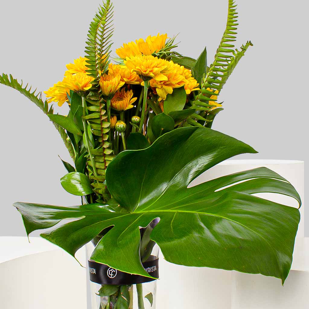 product-image-11451