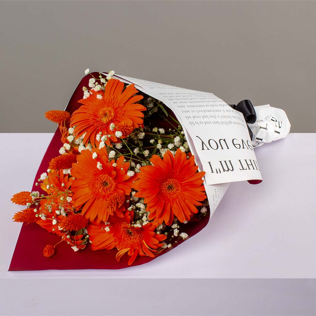 product-image-496