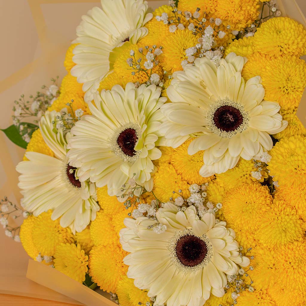 product-image-13768