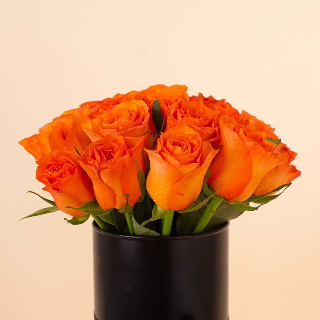 product-image-14301