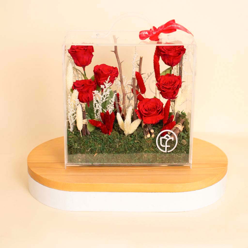 product-image-12216