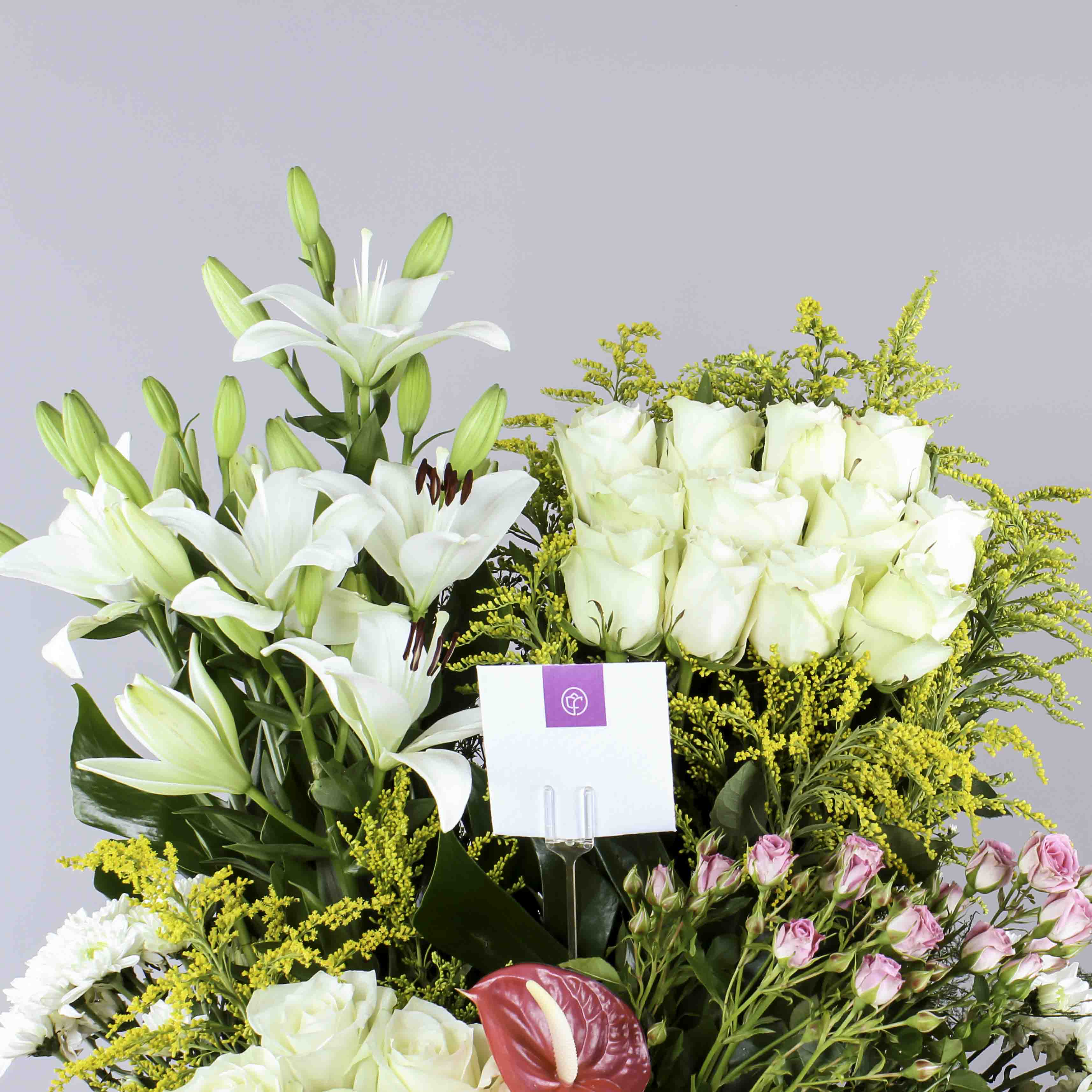 product-image-172