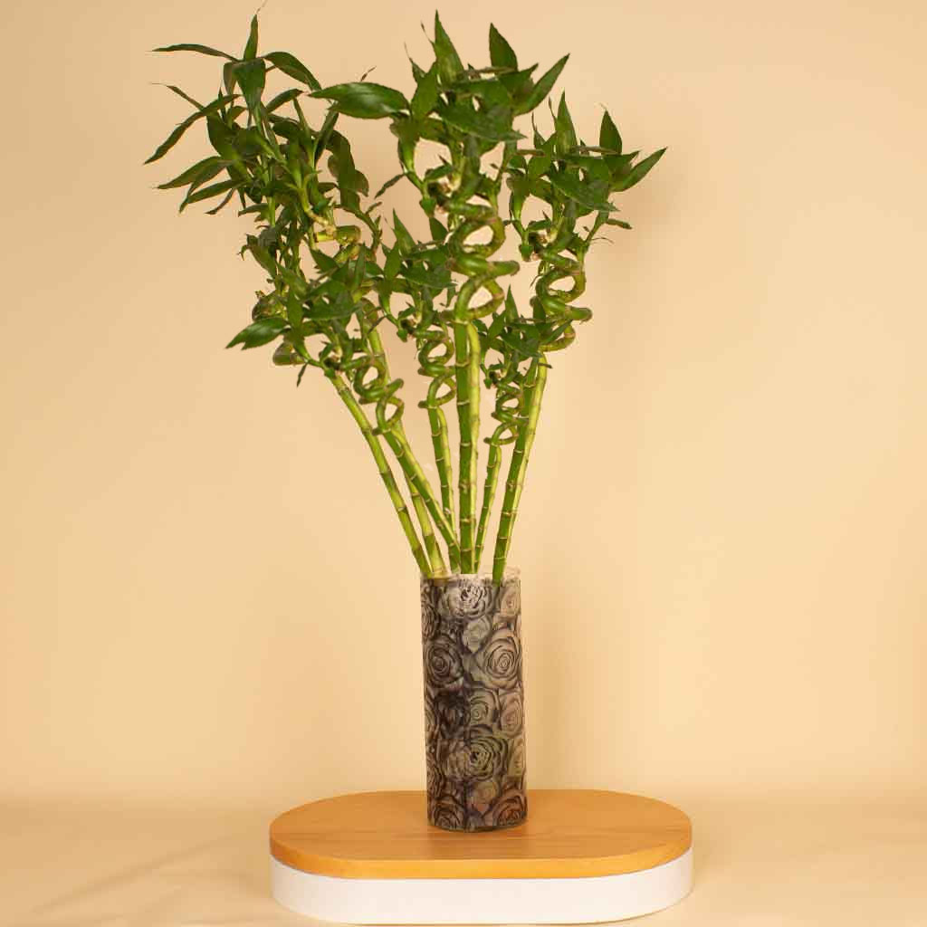 product-image-38