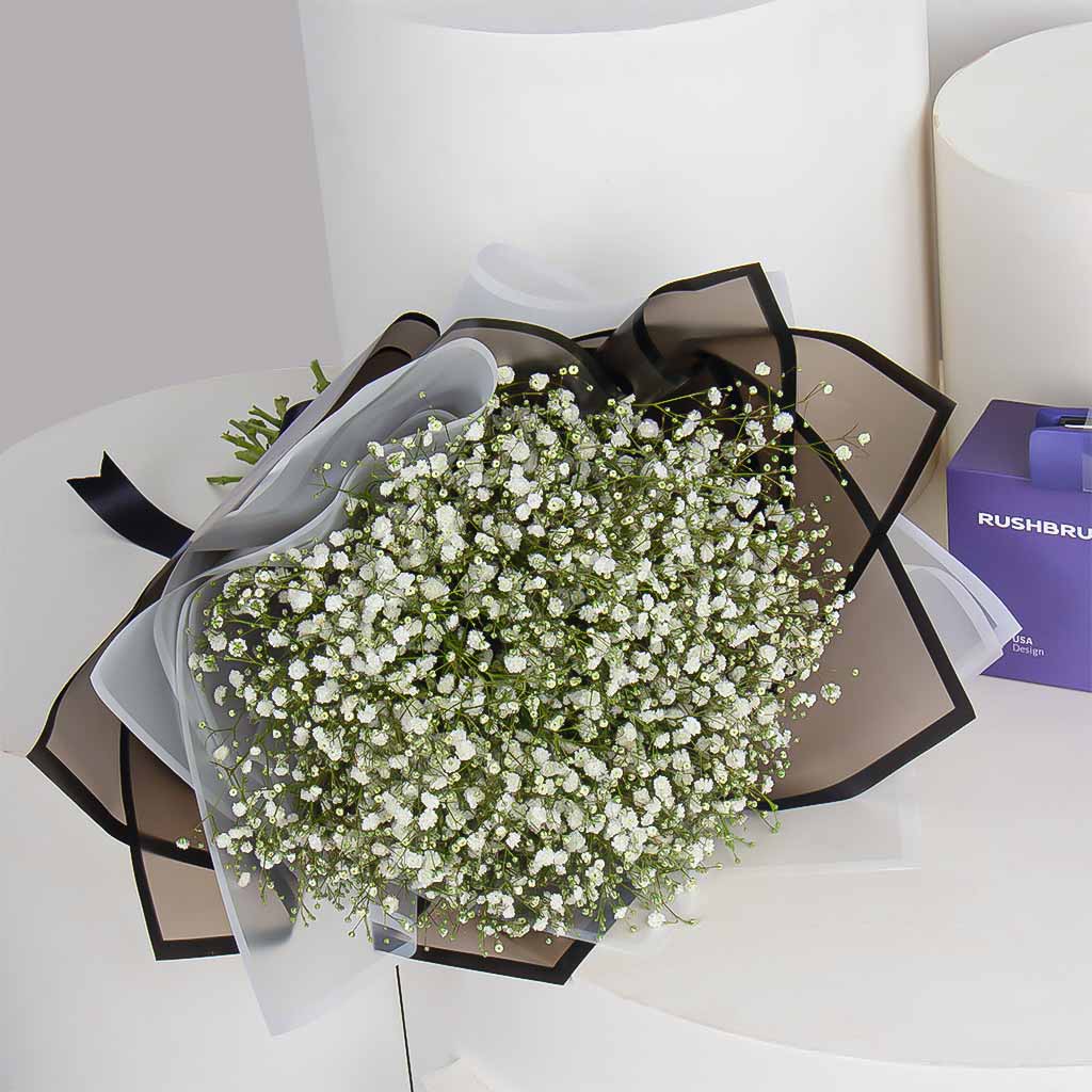 product-image-11507