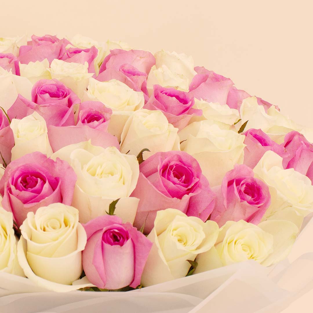 product-image-14136