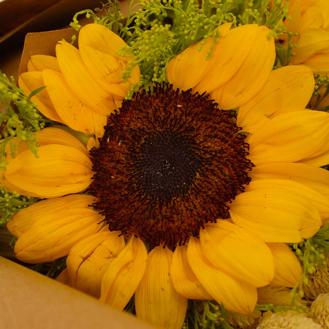product-image-14149