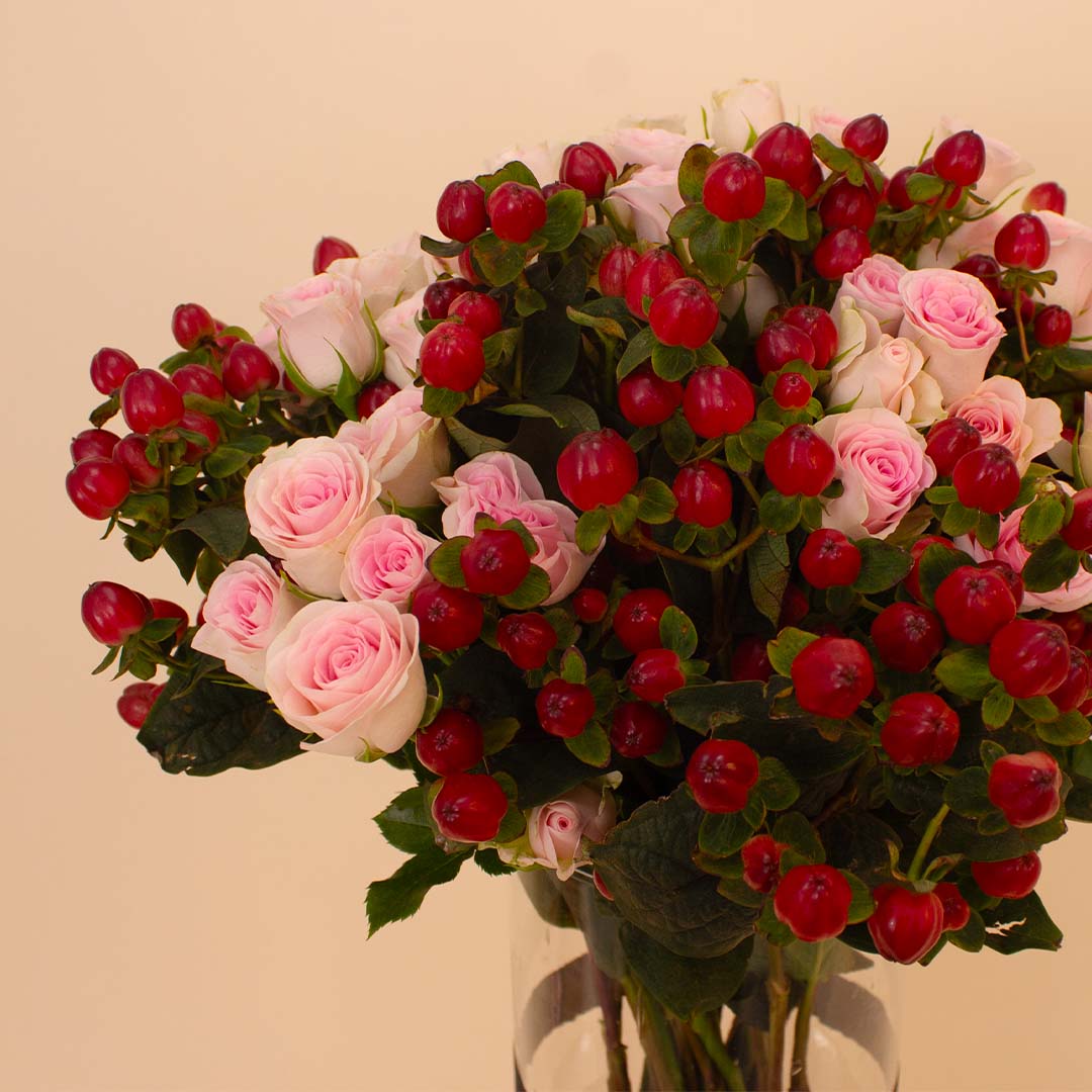 product-image-14147