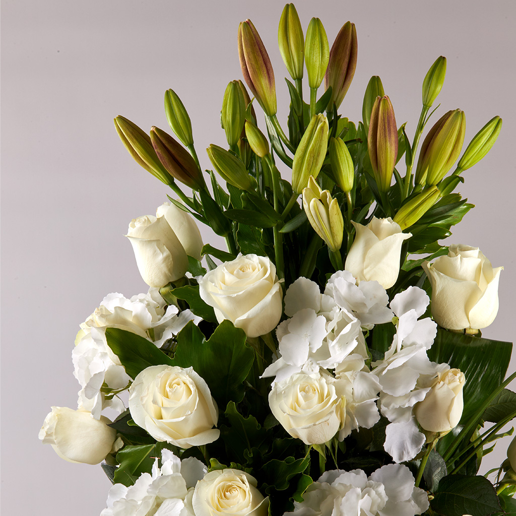 product-image-139