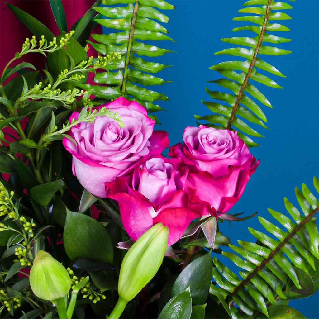 product-image-11529