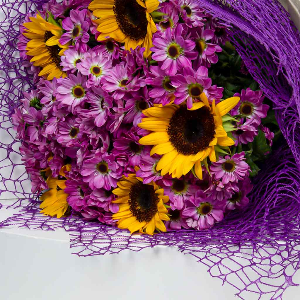 product-image-11616