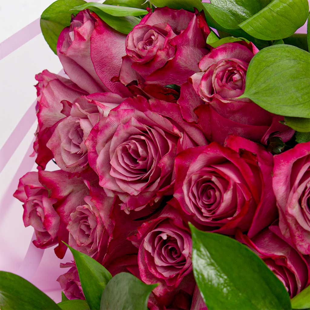 product-image-11949