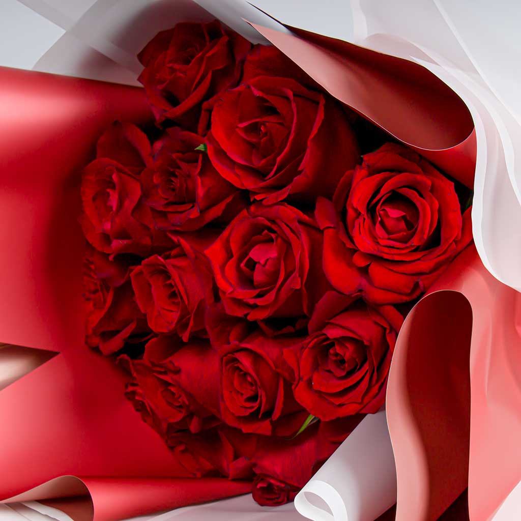 product-image-11811