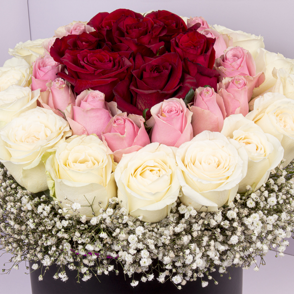 product-image-399