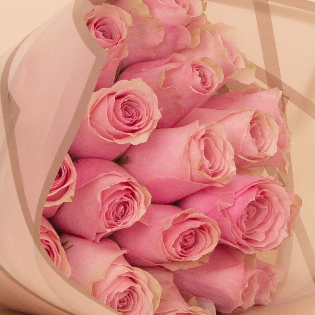 product-image-14028