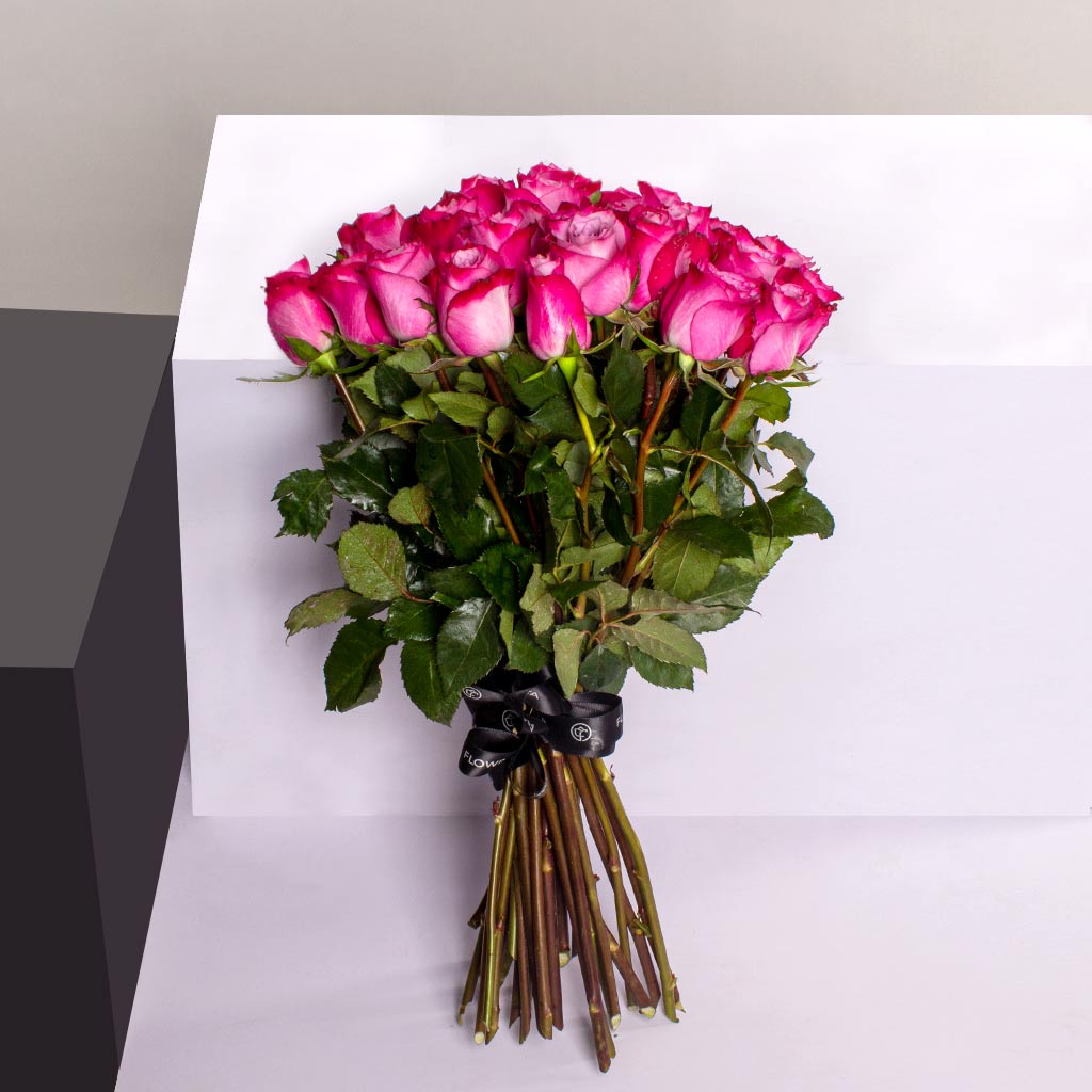product-image-10505