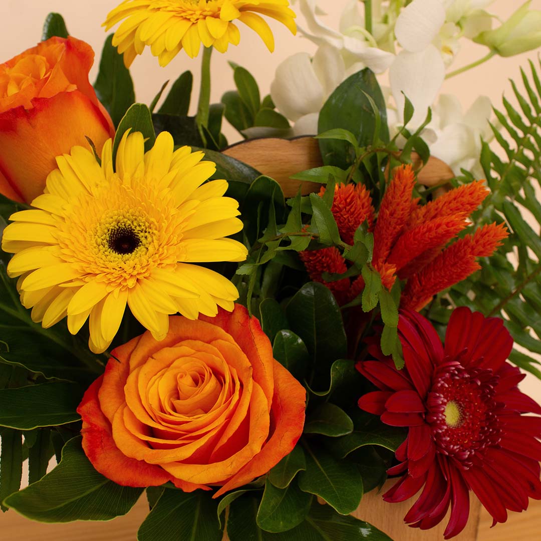 product-image-10613