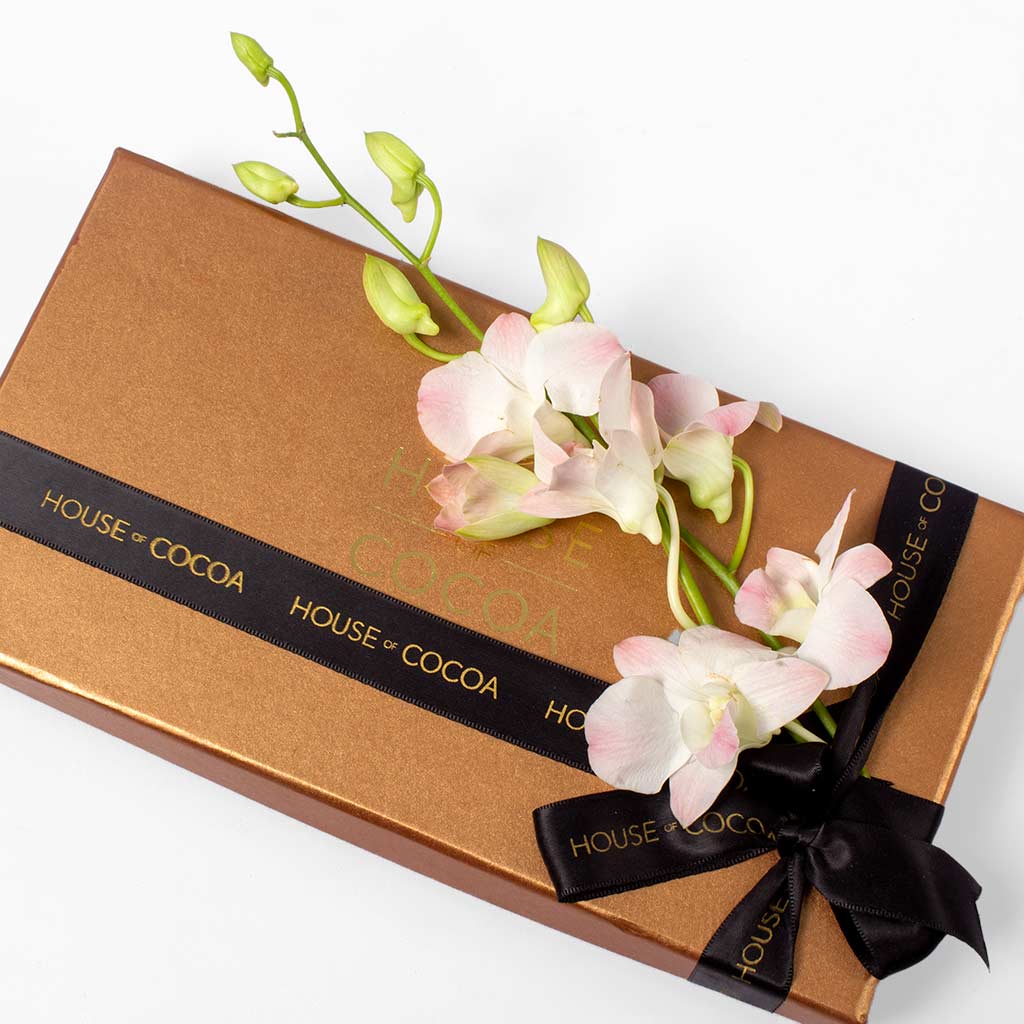 product-image-10671