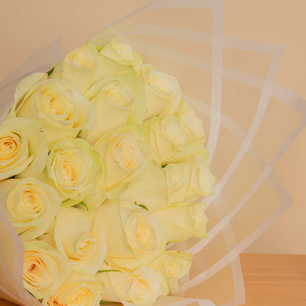 product-image-13765