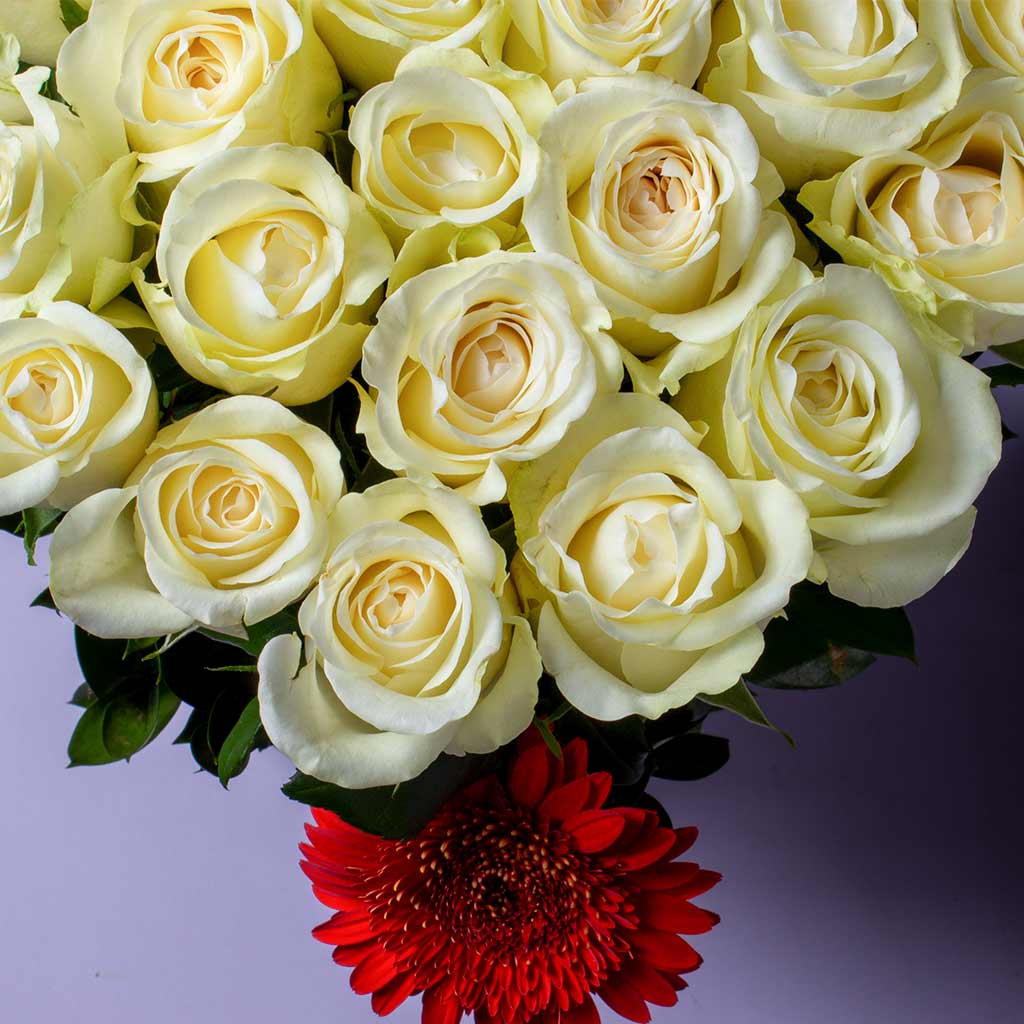 product-image-63