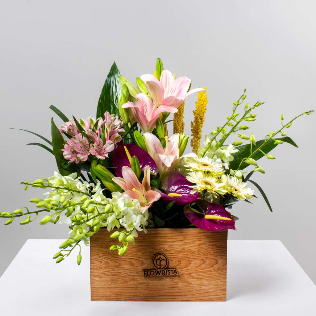 product-image-10663